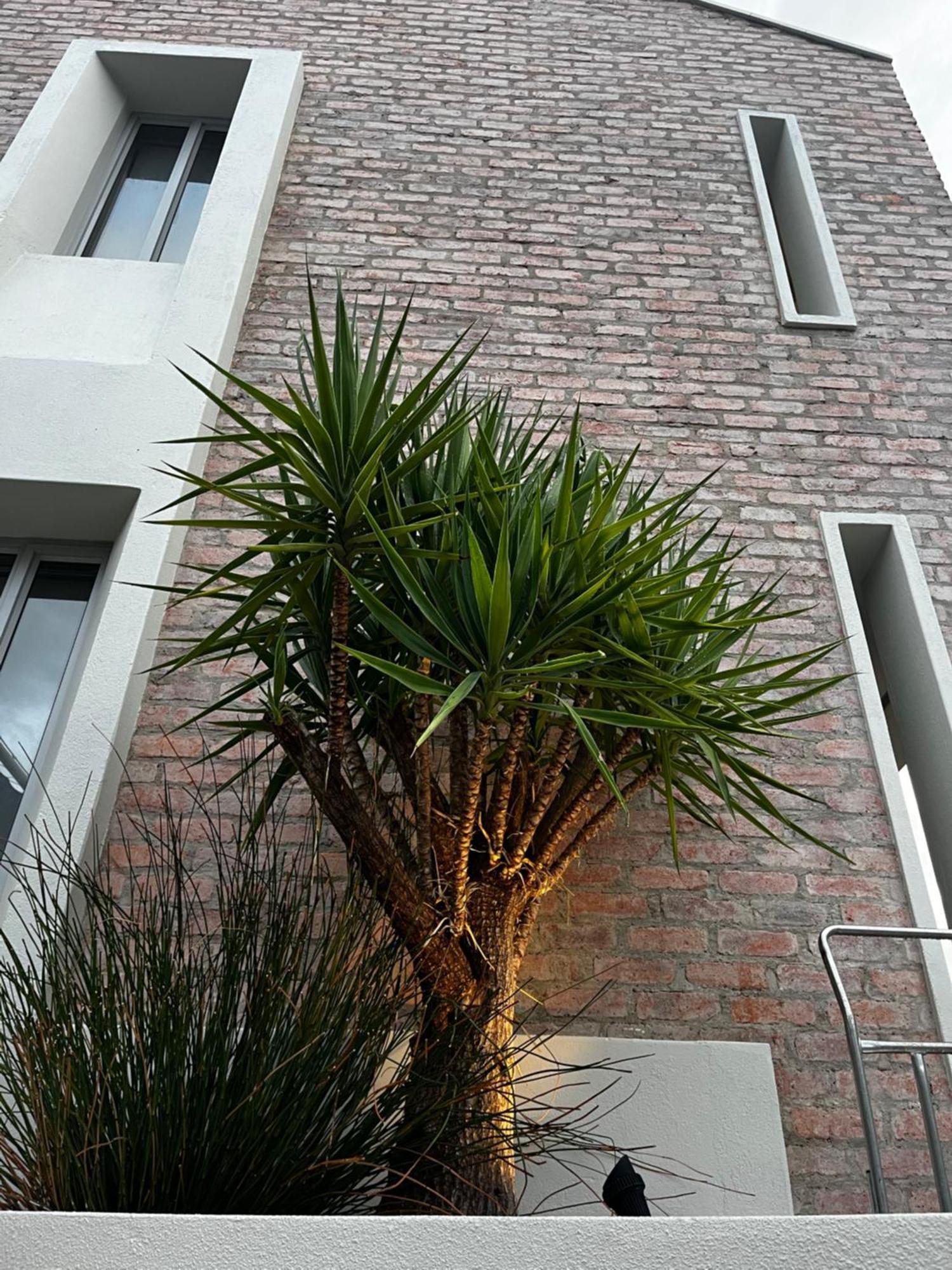 The Windhoek Luxury Suites المظهر الخارجي الصورة