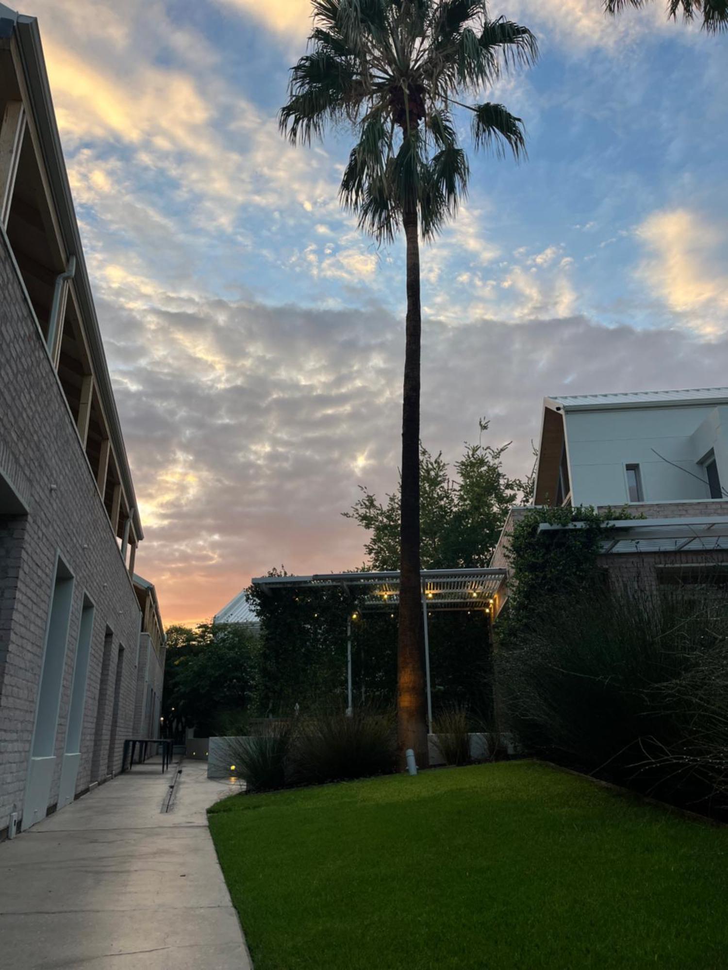 The Windhoek Luxury Suites المظهر الخارجي الصورة